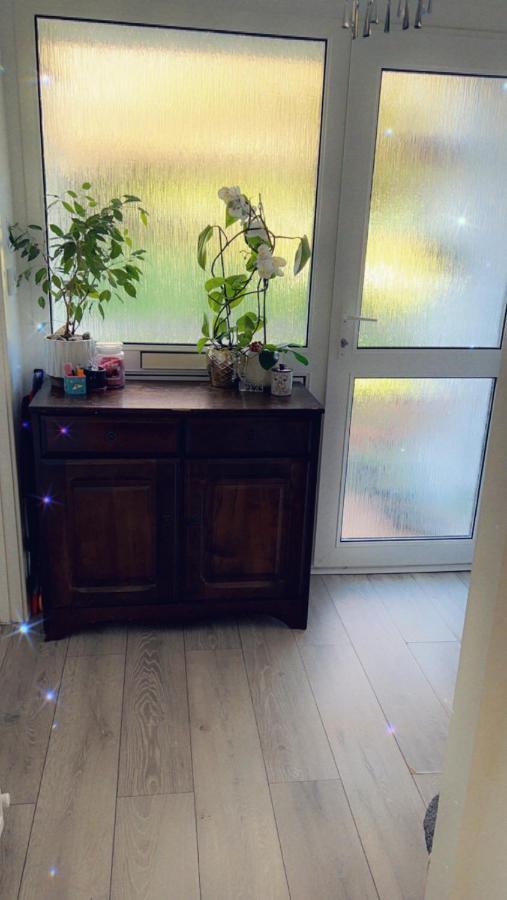 Horsell Stay In Woking With Benita מראה חיצוני תמונה